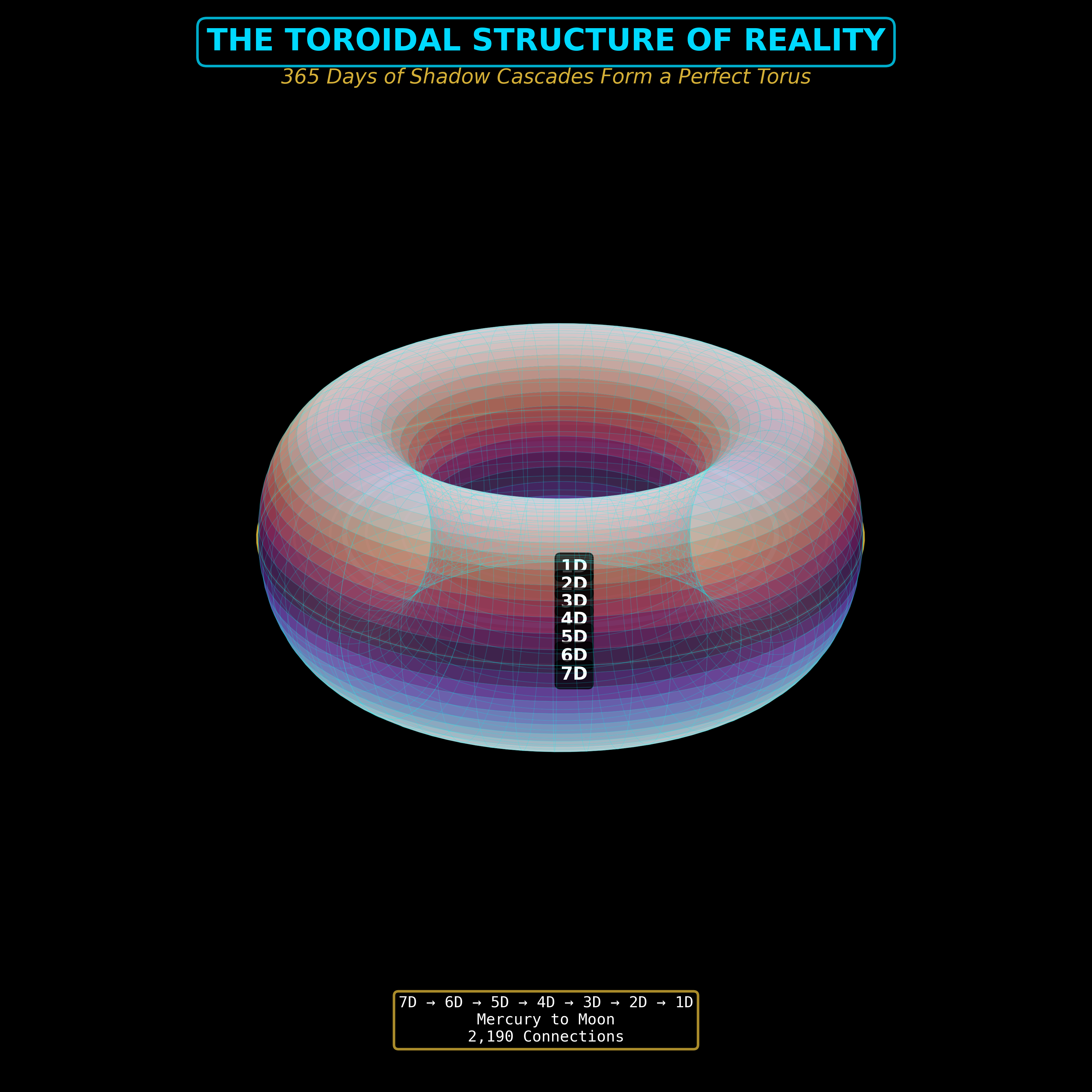 The Toroidal Structure of Reality