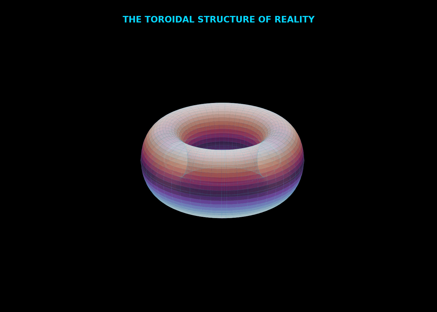 Toroidal Structure of Reality